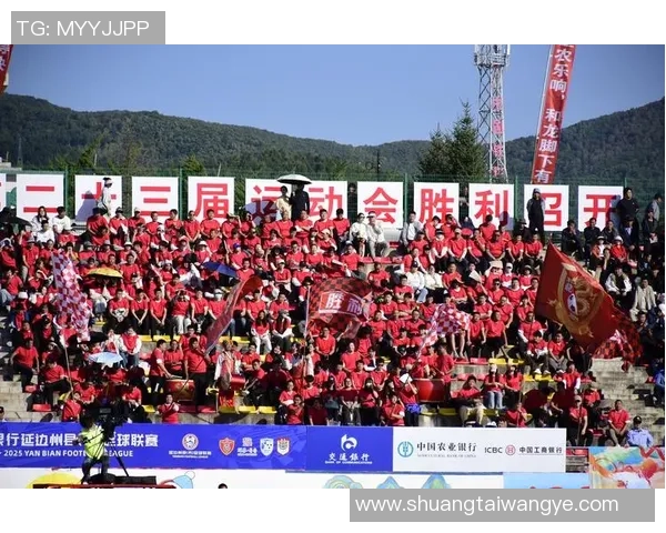 足球巨星闪耀绿茵场盛大出场列队展现王者风采